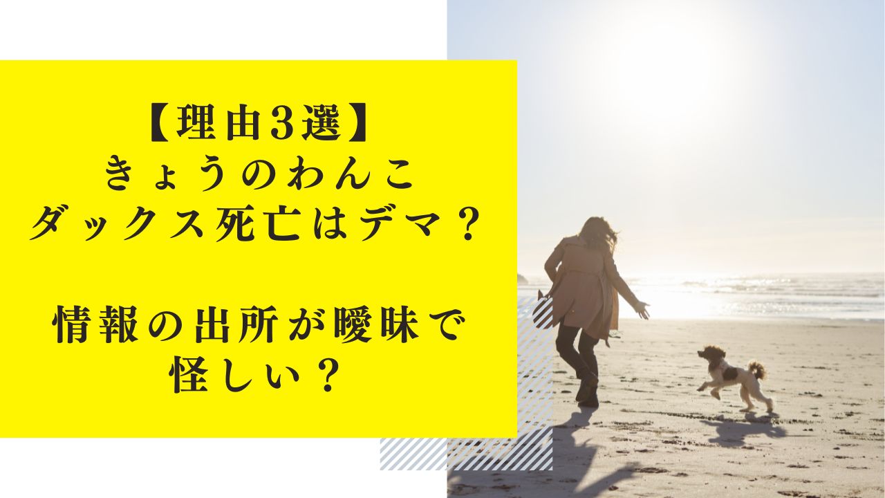 【理由3選】きょうのわんこ・ダックス死亡はデマ？情報の出所が曖昧で怪しい？