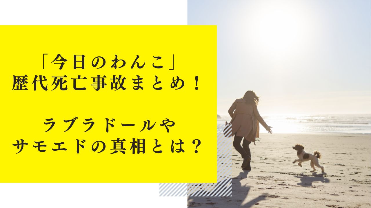 「今日のわんこ」歴代死亡事故まとめ！ラブラドールやサモエドの真相とは？