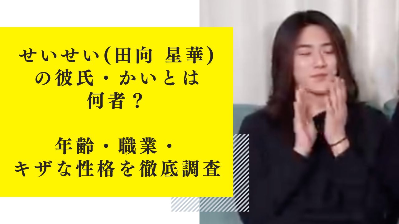 せいせい(田向 星華)の彼氏・かいとは何者？年齢・職業・キザな性格を徹底調査！